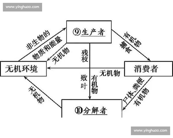 话题不断驱动下的内容生态变革与公众注意力演进路径分析